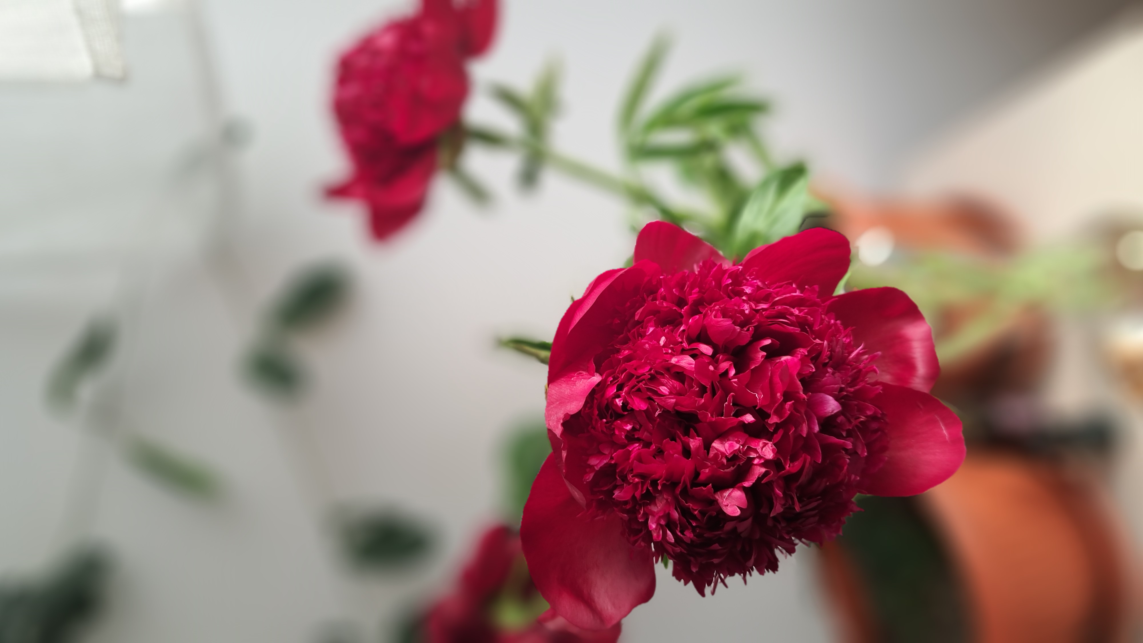 Viața este despre o serie de evenimente și situații ce vor a ne așeza în echilibru!