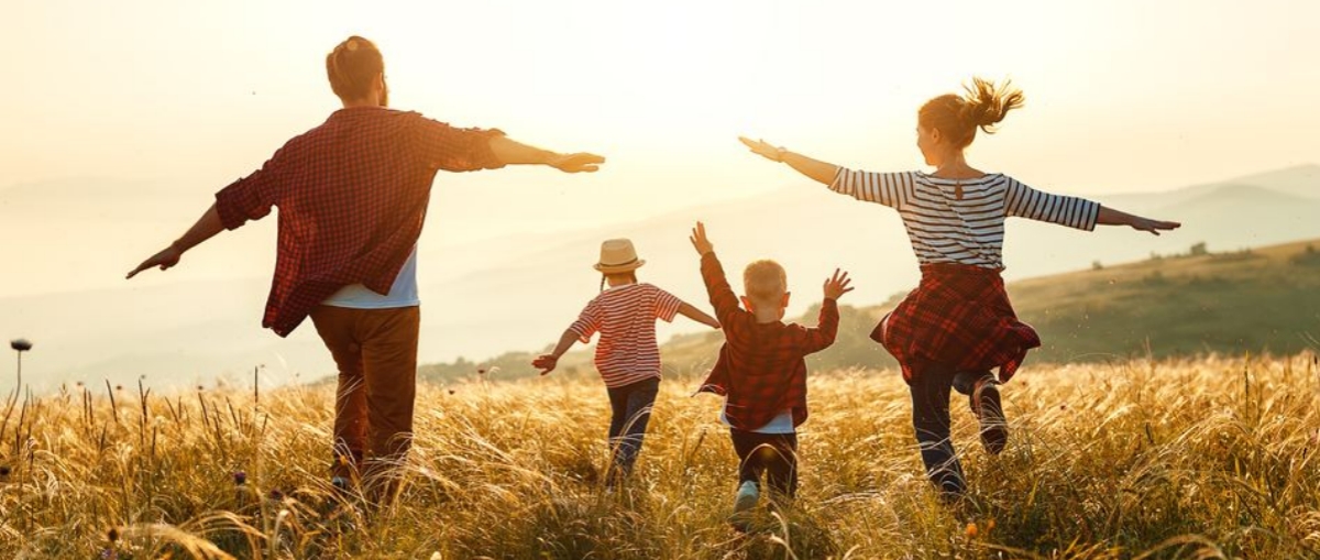 Psihoterapia sistemica de cuplu si familie